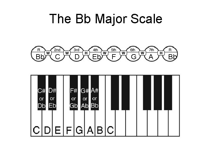 The Bb Major Scale Bb C D Eb F G A Bb 