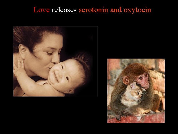 Love releases serotonin and oxytocin 