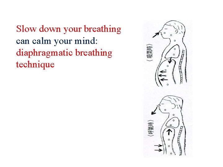 Slow down your breathing can calm your mind: diaphragmatic breathing technique 。。 。 。