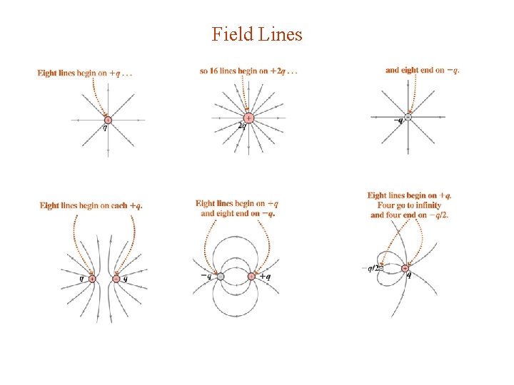 Field Lines 