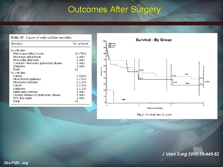 Outcomes After Surgery J Vasc Surg 2002; 35: 445 -52 The PVD. org 