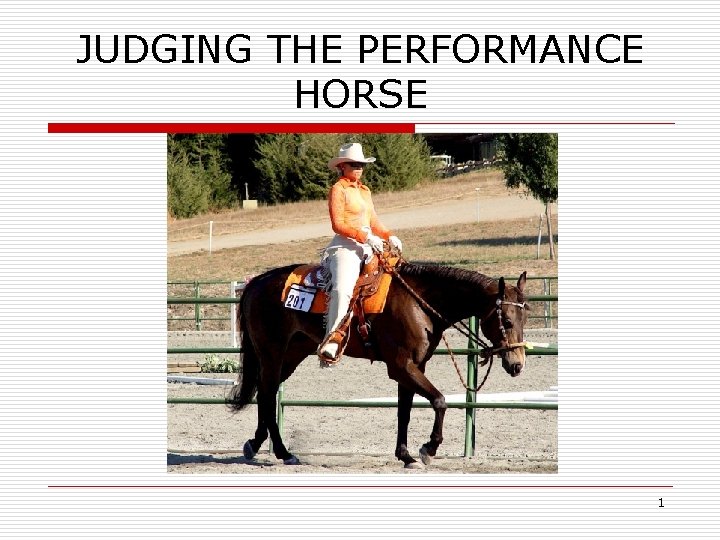 JUDGING THE PERFORMANCE HORSE 1 