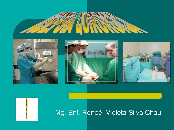 Mg. Enf. Reneé Violeta Silva Chau 