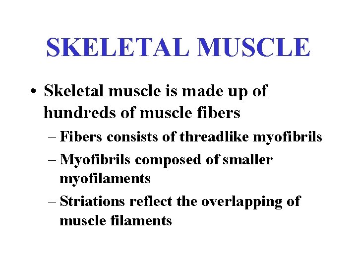 SKELETAL MUSCLE • Skeletal muscle is made up of hundreds of muscle fibers –