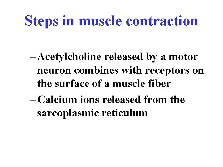 Steps in muscle contraction – Acetylcholine released by a motor neuron combines with receptors