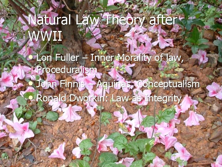 Natural Law Theory after WWII • Lon Fuller – Inner Morality of law, Proceduralism
