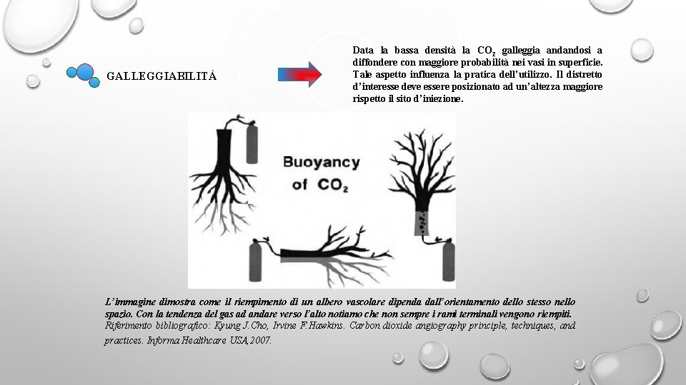 GALLEGGIABILITÀ Data la bassa densità la CO 2 galleggia andandosi a diffondere con maggiore