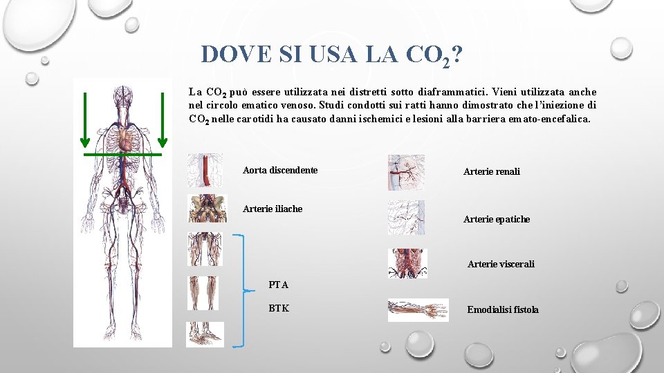 DOVE SI USA LA CO 2? La CO 2 può essere utilizzata nei distretti