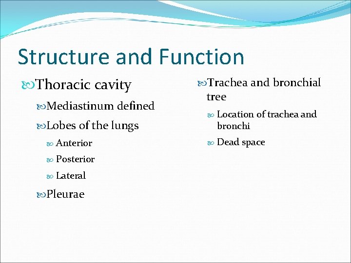 Structure and Function Thoracic cavity Mediastinum defined Lobes of the lungs Anterior Posterior Lateral