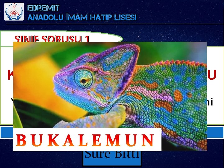 SINIF SORUSU 1 K–M–N–A–U–B–E–L–U Yukardaki harflerden oluşan hayvan ismini bulunuz? EDREMİT ANADOLU İMAM HATİP