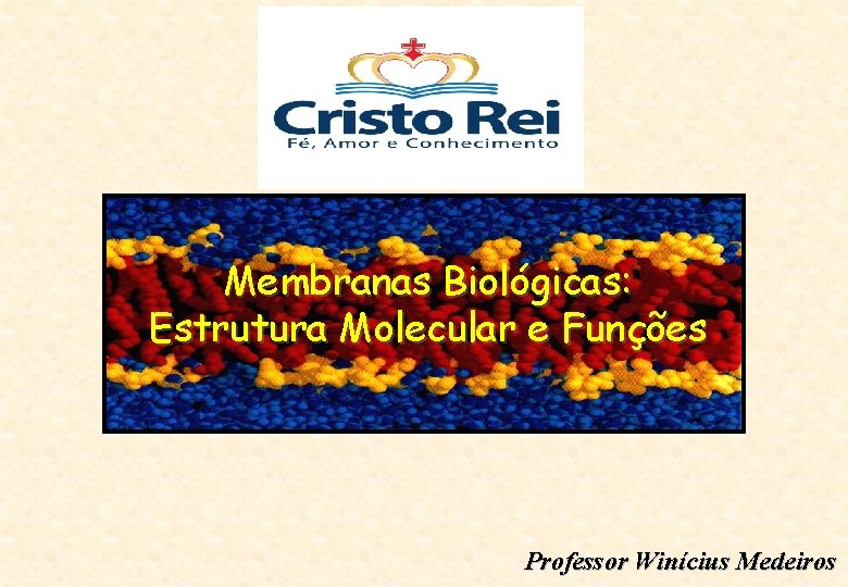 Membranas Biológicas: Estrutura Molecular e Funções Professor Winícius Medeiros 