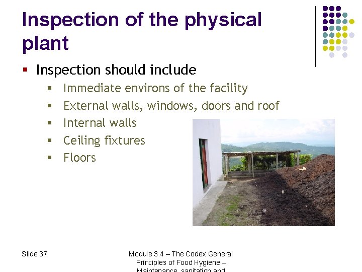 Inspection of the physical plant § Inspection should include § § § Slide 37