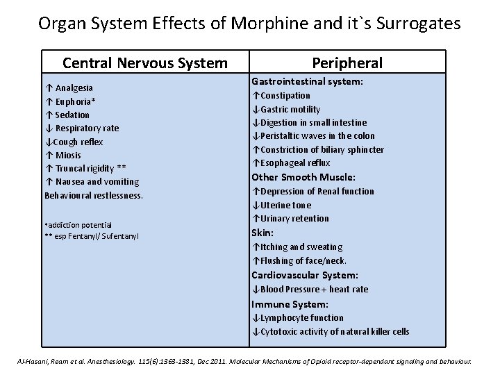 Organ System Effects of Morphine and it`s Surrogates Central Nervous System ↑ Analgesia ↑