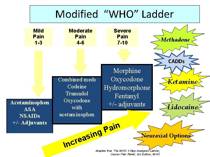 Modified “WHO” Ladder Mild Pain 1 -3 Moderate Pain 4 -6 Severe Pain 7