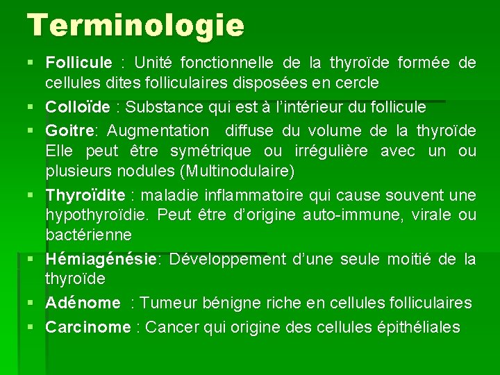 Terminologie § Follicule : Unité fonctionnelle de la thyroïde formée de cellules dites folliculaires