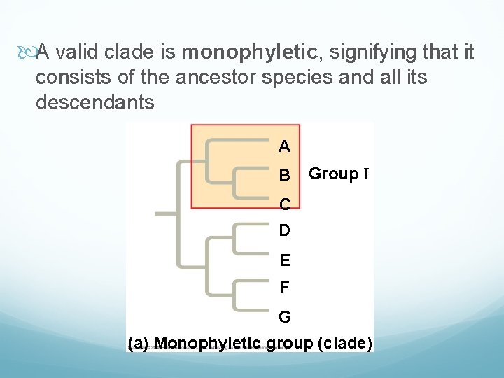  A valid clade is monophyletic, signifying that it consists of the ancestor species