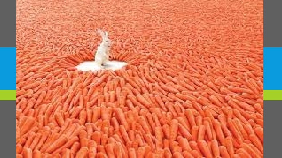 ABUNDANT She had an abundant amount of chickens at her farm. present in great