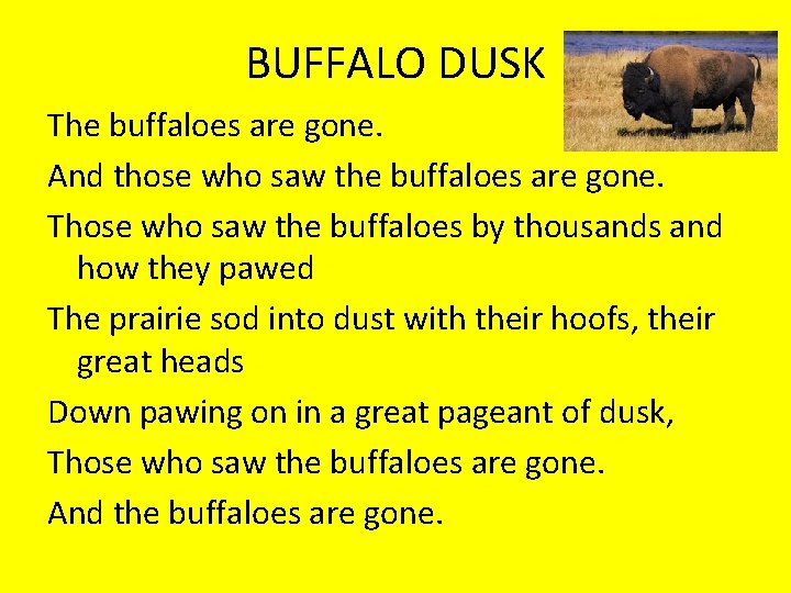BUFFALO DUSK The buffaloes are gone. And those who saw the buffaloes are gone.