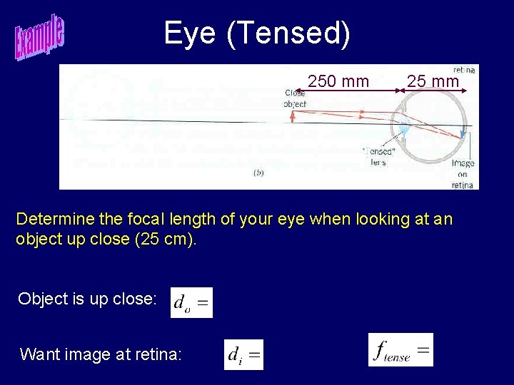 Eye (Tensed) 250 mm 25 mm Determine the focal length of your eye when