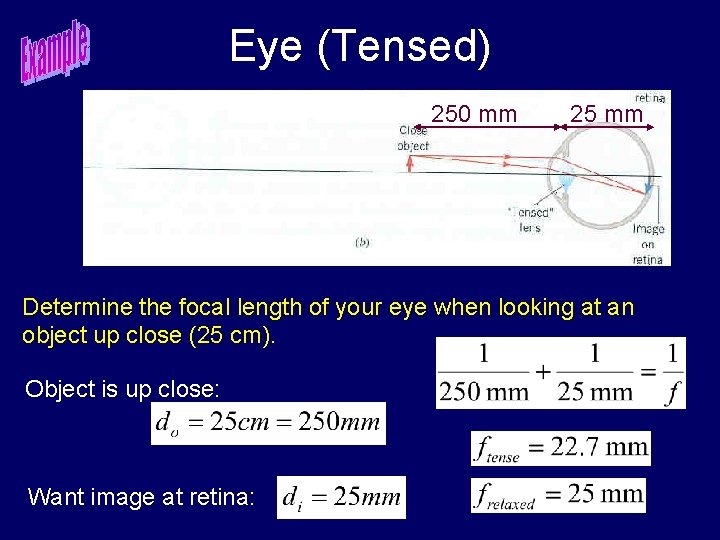 Eye (Tensed) 250 mm 25 mm Determine the focal length of your eye when
