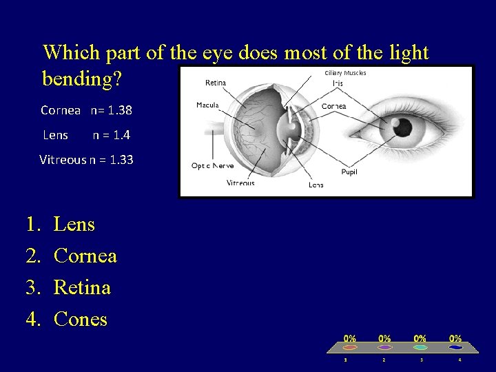 Which part of the eye does most of the light bending? Ciliary Muscles Cornea