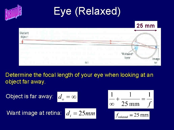 Eye (Relaxed) 25 mm Determine the focal length of your eye when looking at