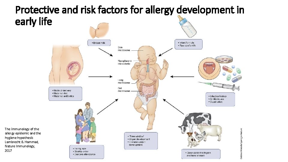 Protective and risk factors for allergy development in early life The immunology of the