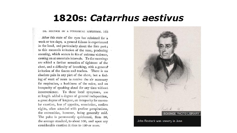 1820 s: Catarrhus aestivus 