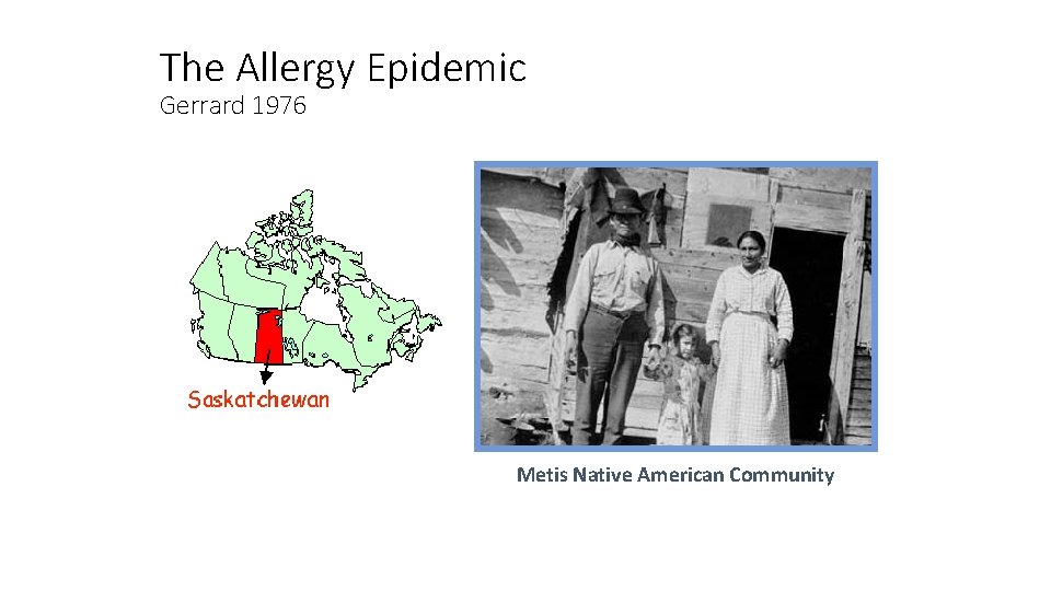 The Allergy Epidemic Gerrard 1976 Metis Native American Community 