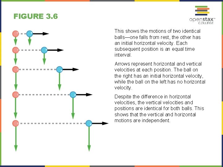 FIGURE 3. 6 This shows the motions of two identical balls—one falls from rest,