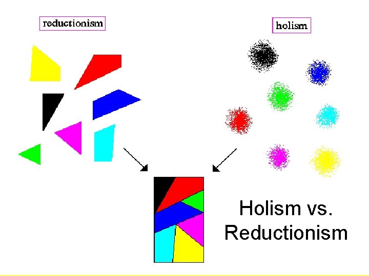 Holism vs. Reductionism 