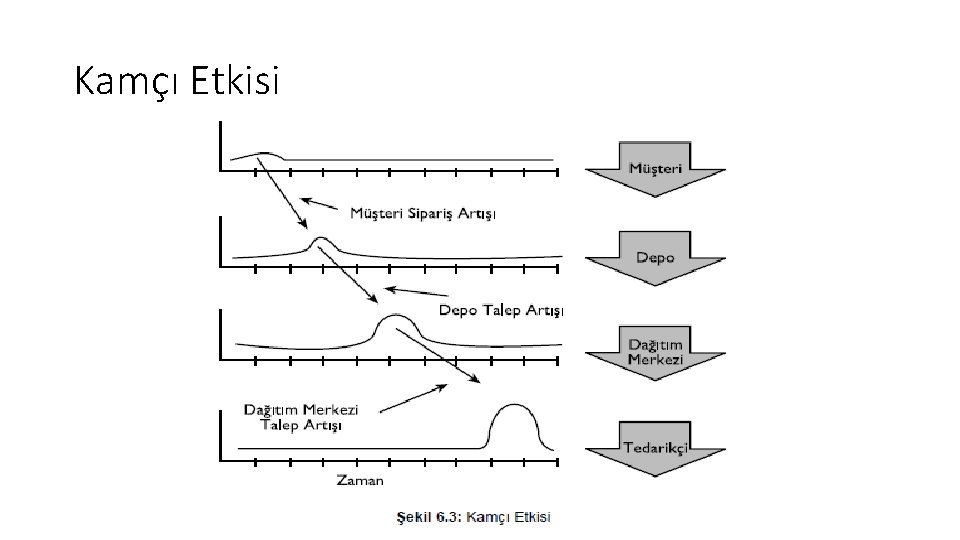 Kamçı Etkisi 