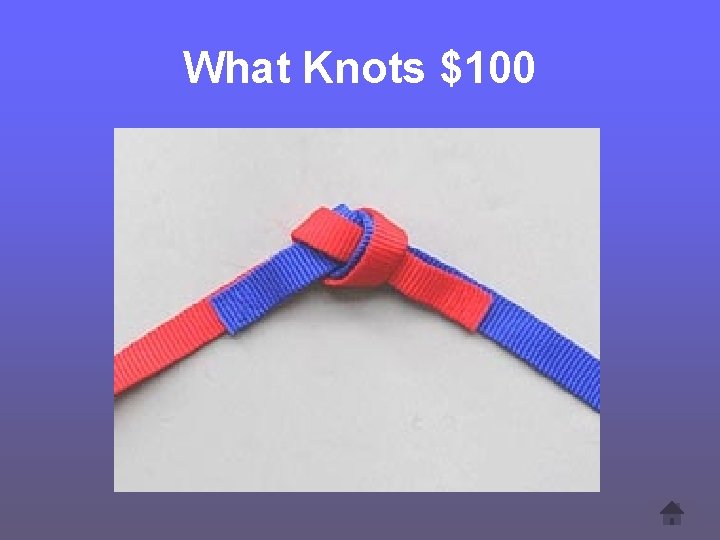 What Knots $100 