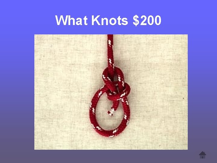 What Knots $200 