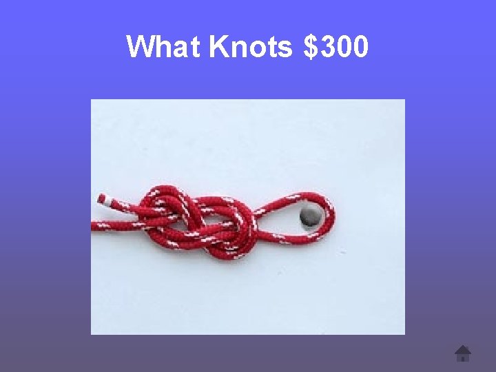 What Knots $300 