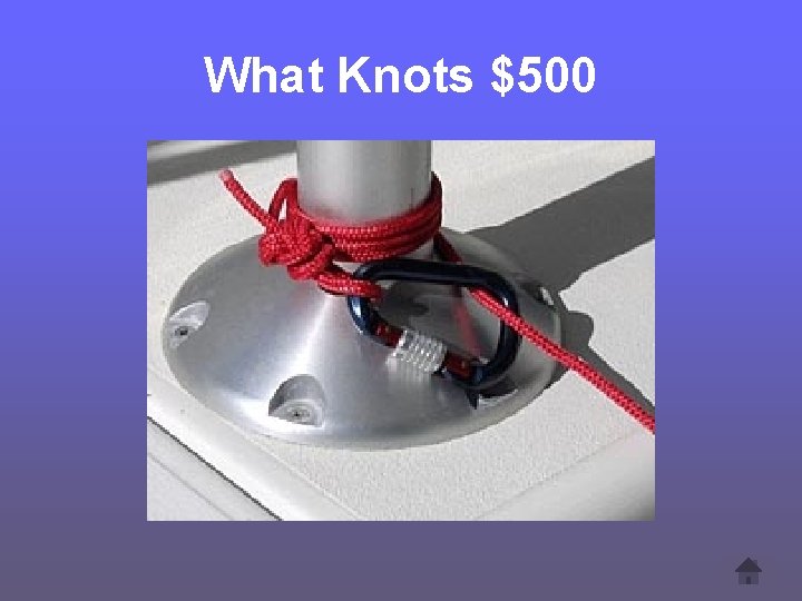 What Knots $500 
