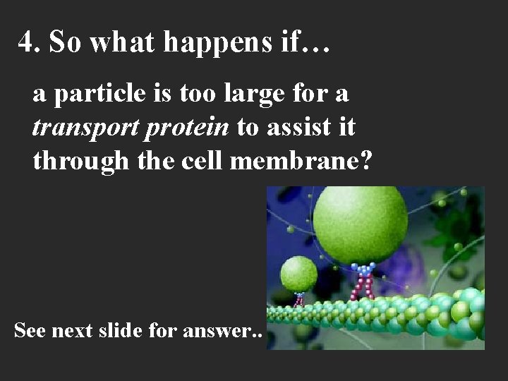 4. So what happens if… a particle is too large for a transport protein