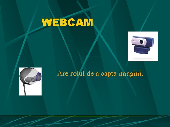 WEBCAM Are rolul de a capta imagini. WEBCAM Are rolul de a capta imagini.