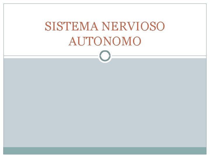 SISTEMA NERVIOSO AUTONOMO SISTEMA NERVIOSO AUTONOMO