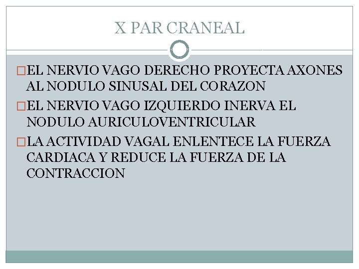 X PAR CRANEAL �EL NERVIO VAGO DERECHO PROYECTA AXONES AL NODULO SINUSAL DEL CORAZON X PAR CRANEAL �EL NERVIO VAGO DERECHO PROYECTA AXONES AL NODULO SINUSAL DEL CORAZON