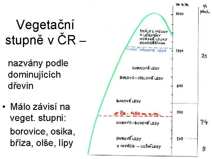 Vegetační stupně v ČR – nazvány podle dominujících dřevin • Málo závisí na veget.