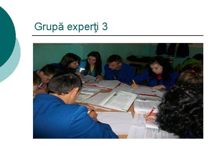 Grupă experţi 3 