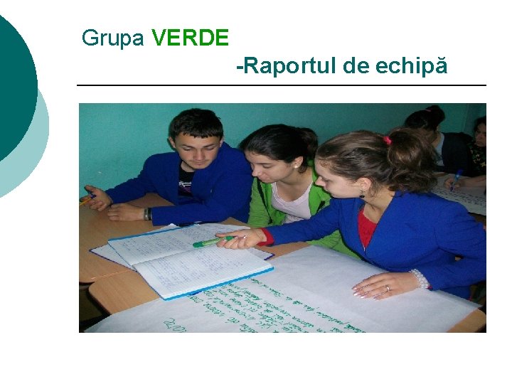 Grupa VERDE -Raportul de echipă 