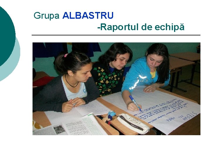 Grupa ALBASTRU -Raportul de echipă 