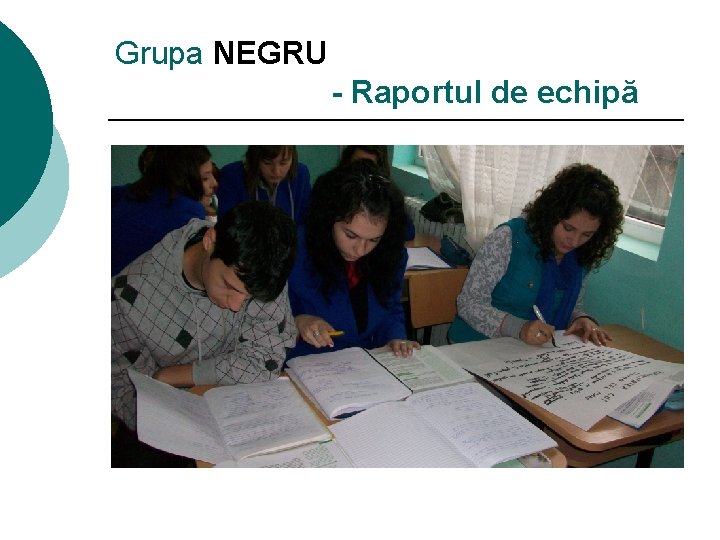 Grupa NEGRU - Raportul de echipă 