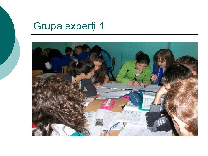 Grupa experţi 1 