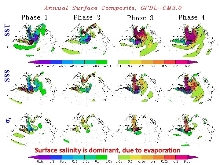 SST SSS σt Surface salinity is dominant, due to evaporation 