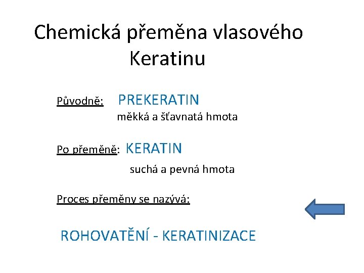 Chemická přeměna vlasového Keratinu Původně: PREKERATIN měkká a šťavnatá hmota Po přeměně: KERATIN suchá