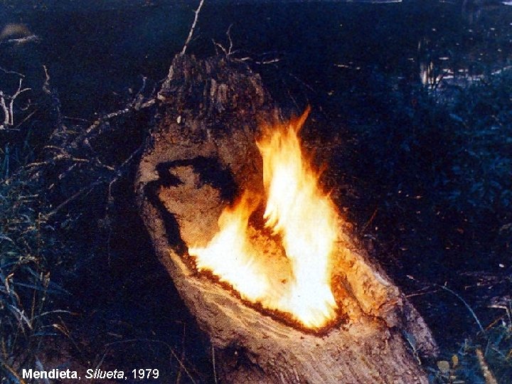 Mendieta, Silueta, 1979 