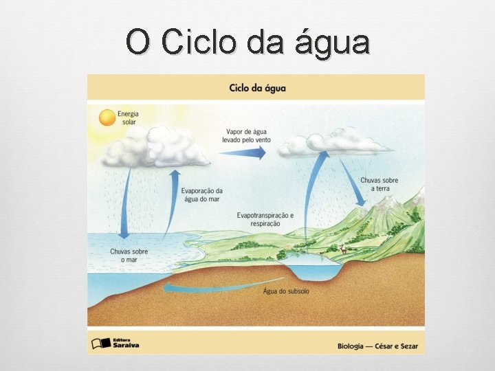 O Ciclo da água 